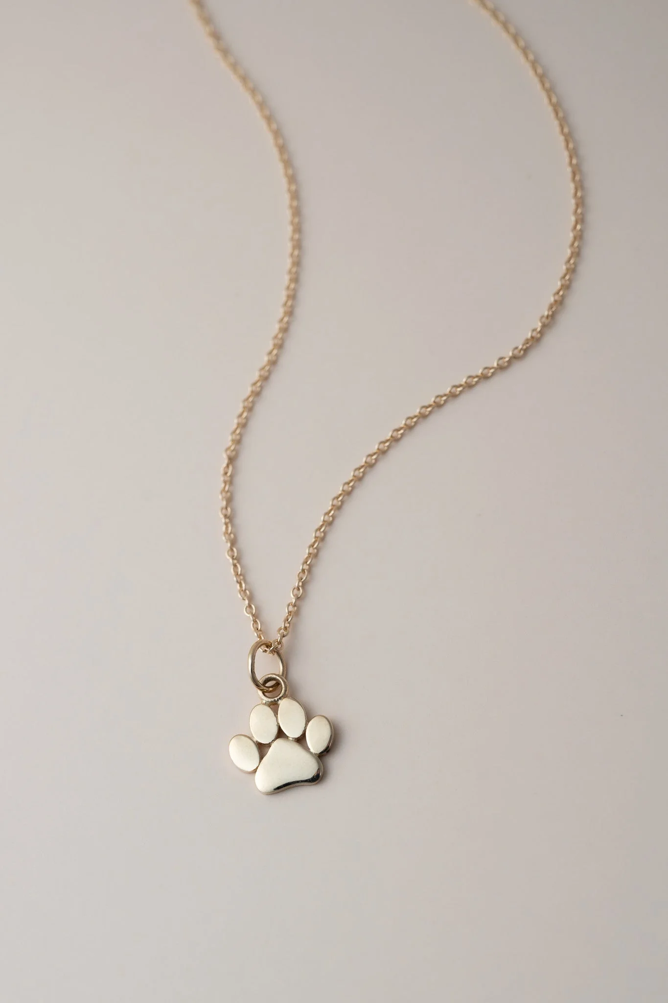 14K Pet Paw Necklace